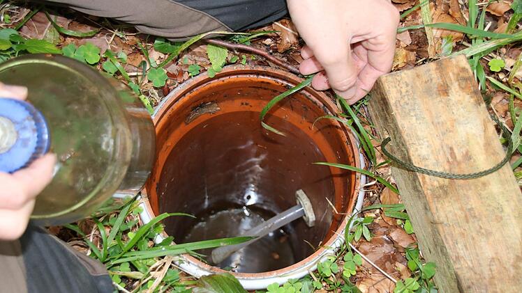 Hier wird erfasst, wie viel Regenwasser ins Erdreich gelangt.  Foto: Kathrin Kupka-Hahn