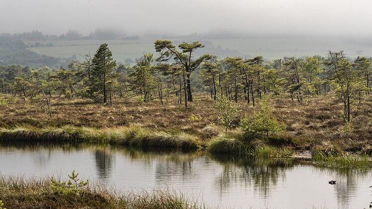 Ein Abstecher ins Schwarze Moor bietet sich an. Foto: Jürgen Hüfner