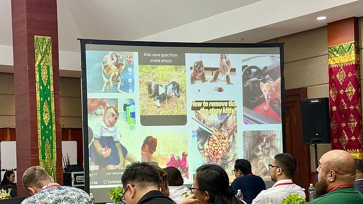 Fachkonferenz auf Bali zum Thema Tierleid in sozialen Medien