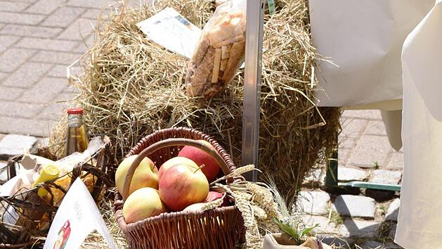 Diese Wanderschuhe, gesehen beim Regionalmarkt der Allianz Oberes Werntal in Vasb&uuml;hl, brauchen mal wieder richtigen Auslauf. Beim Wanderspa&szlig; rund um Hambach am 11. Juni ist das m&ouml;glich. Foto: Silvia Eidel