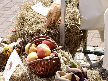 Diese Wanderschuhe, gesehen beim Regionalmarkt der Allianz Oberes Werntal in Vasbühl, brauchen mal wieder richtigen Auslauf. Beim Wanderspaß rund um Hambach am 11. Juni ist das möglich. Foto: Silvia Eidel