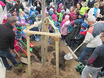 Baumpate Thomas Ruser (links) und Bürgermeister Peter Hart .) graben gemeinsam mit den Kindergartenkindern die Hainbuchen-Säule vor der Mehrzweckhalle ein.  Foto: Winfried Ehling