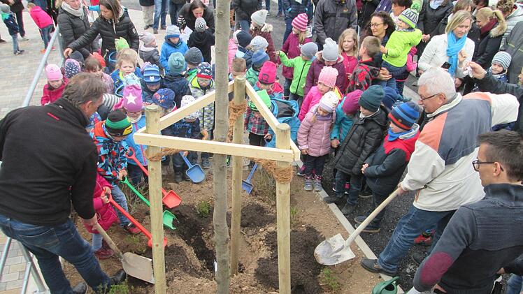 Baumpate Thomas Ruser (links) und Bürgermeister Peter Hart .) graben gemeinsam mit den Kindergartenkindern die Hainbuchen-Säule vor der Mehrzweckhalle ein.  Foto: Winfried Ehling