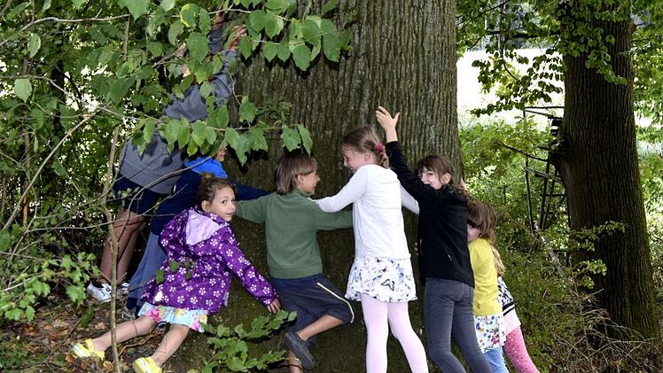 Ein Dutzend Ferienkinder können den Stamm der Eiche nicht umfassen. Foto: Andreas Welz