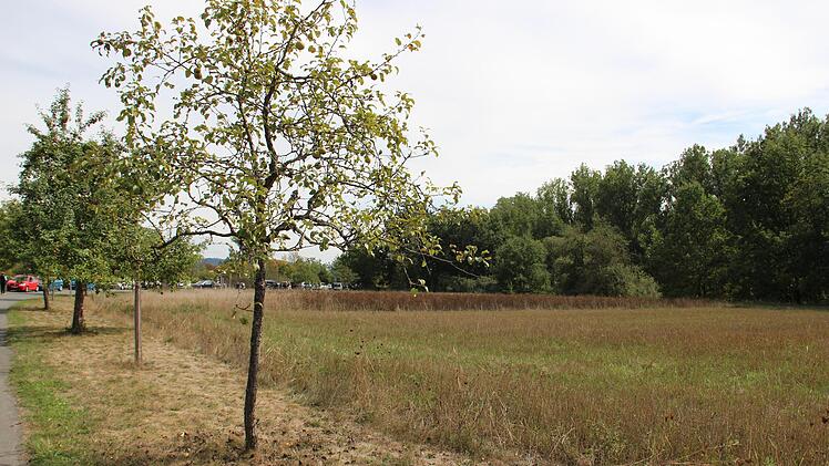 Die  Dreifelderwirtschaft  bei Steinenhausen. Foto: Katharina Müller-Sanke