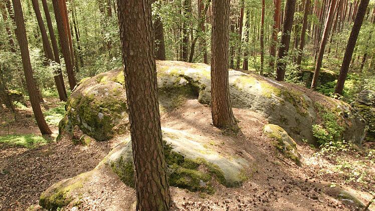 Es gibt hier sogar Felsen, auf denen Bäume wachsen. Foto: Matthias Einwag