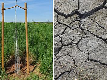 SplitImage 1746193899