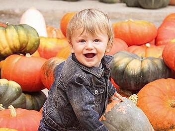 Zuckrigls elfmonatiger Enkel Louis hat offenkundig auch große Freude an den Kürbissen. Die farbenfrohe Pracht eignet sich nämlich nicht nur zum Verzehr und zum Dekorieren, sondern hervorragend auch zum Spielen. Foto: Gerd Schaar