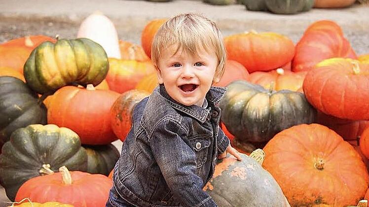 Zuckrigls elfmonatiger Enkel Louis hat offenkundig auch große Freude an den Kürbissen. Die farbenfrohe Pracht eignet sich nämlich nicht nur zum Verzehr und zum Dekorieren, sondern hervorragend auch zum Spielen. Foto: Gerd Schaar