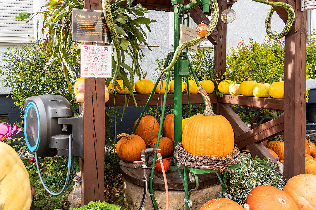 Tausende Besucher aus nah und fern kamen zum Herbstmarkt.
