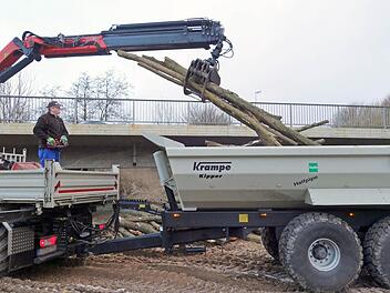Unterhalb der Münnerstädter Lauerbrücke werden die Baumstämme verladen, die bei der Auslichtungsaktion des Wasserwirtschaftsamtes angefallen sind.  Foto: Heike Beudert
