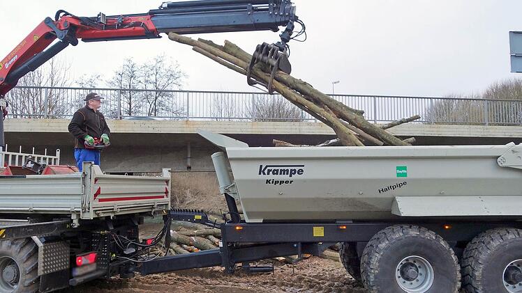 Unterhalb der Münnerstädter Lauerbrücke werden die Baumstämme verladen, die bei der Auslichtungsaktion des Wasserwirtschaftsamtes angefallen sind.  Foto: Heike Beudert