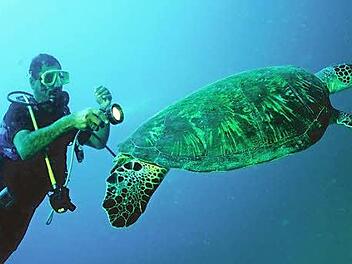 Die Strände im Süden sind ein beliebtes Ziel für Taucher und Schnorchler.