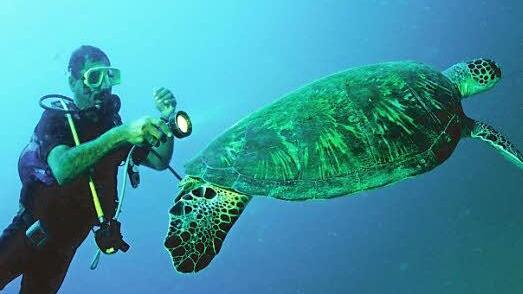 Die Strände im Süden sind ein beliebtes Ziel für Taucher und Schnorchler.