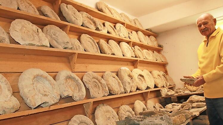 Zahllose große und kleine Versteinerungen aller Bearbeitungszustände lagert Bernd Ludwig im Keller seines Hauses. Wenn er die Relikte der Tintenfische aus dem umgebenden Gestein herauspräpariert hat, werden sie mit Handschleifer, Diamantfeile und Skalpell bearbeitet.