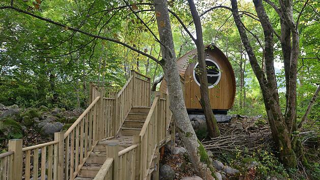 Königlich schlafen inmtten der Natur: Das erwartet dich auf dem Waldcampingplatz am Brombachsee, beispielsweise im Holz-Pod, Weinfass oder Zirkuswagen.