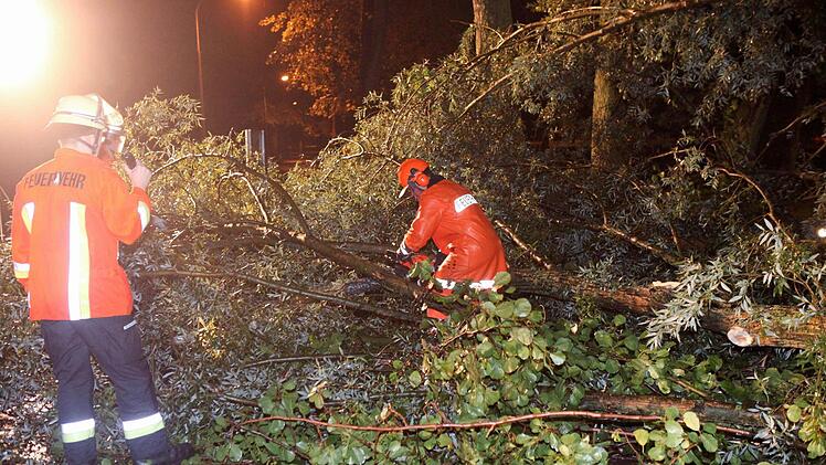 Die Feuerwehren mussten umgestürzte Bäume von den Fahrbahnen räumen. Foto: Archiv