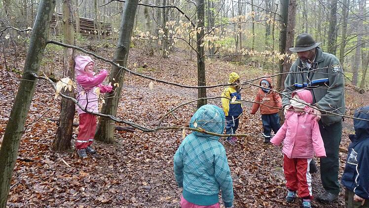Mit dem Projekt "Unser Freund, der Baum" wurde der Kindergarten Oberelsbach zum zweiten Mal in Folge mit dem ÖkoKids-Siegel ausgezeichnet. Foto: Kindergarten Oberelsbach