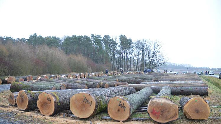 Der Holzsubmissionsplatz bei Oberwohlsbach stößt an seine Grenzen. Foto: Rainer Lutz