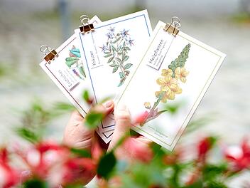 Bamberg: Kirche am Michaelsberg soll wieder eröffnet werden - Projekt für Spendengelder Bamberg: Kirche am Michaelsberg soll wieder eröffnet werden - Projekt für Spendengelder