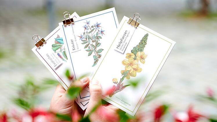 Bamberg: Kirche am Michaelsberg soll wieder er&ouml;ffnet werden - Projekt f&uuml;r Spendengelder