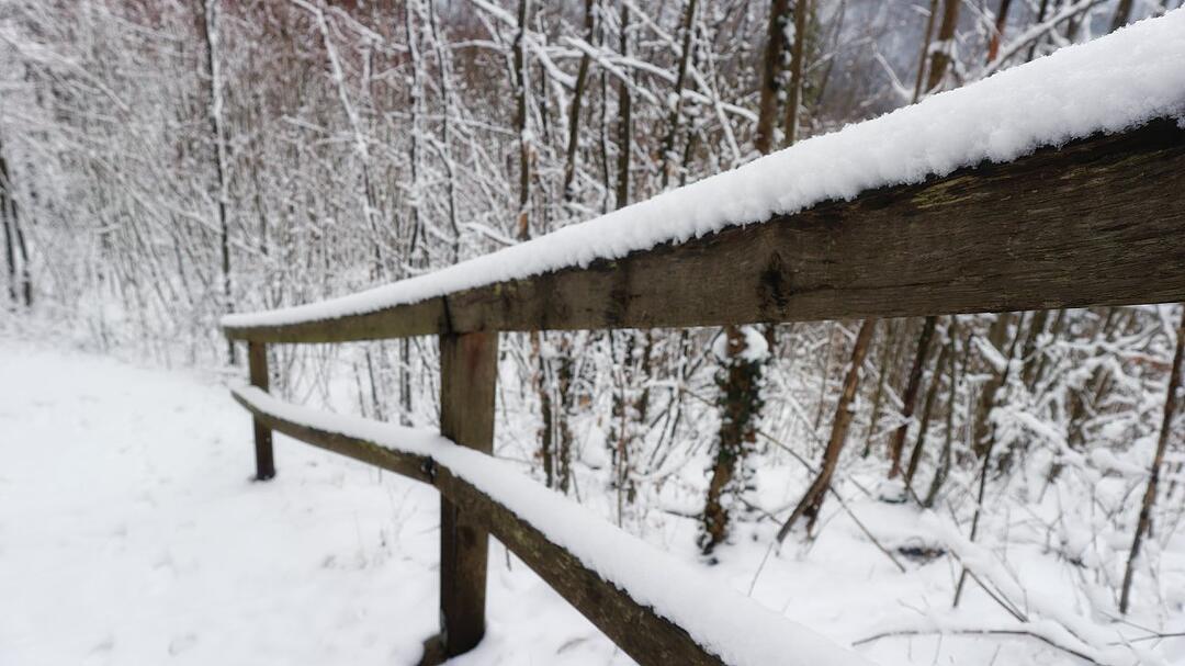 Die schönsten Fotos im Januar aus Forchheim und Umgebung