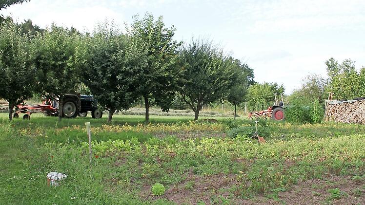 Die Nutzung der ans Baugebiet "Am Wald II" angrenzenden Wiese als Gem&uuml;segarten und die Lagerung landwirtschaftlicher Ger&auml;te ist f&uuml;r den Gemeinderat in Ordnung, doch die Bauvoranfrage auf Errichtung eines Schweinestalles hatte keinen Erfolg. Das geplante Baugebiet hat jetzt Planungsreife erlangt.