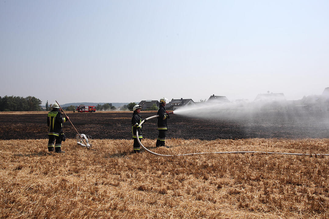 Feldbrand drohte auf Wohngebiet überzugreifen