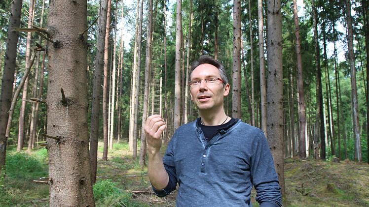 Der tägliche Kurzurlaub im Wald: Dirk Stegner hat die Natur für sich entdeckt. Foto: Oliver Schmidt
