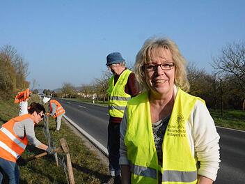 Marion Friedel aus Hammelburg mit ihrem Team bei Westheim, wo die Amphibienzäune an der Kreisstraße stehen. Foto: Elisabeth Assmann