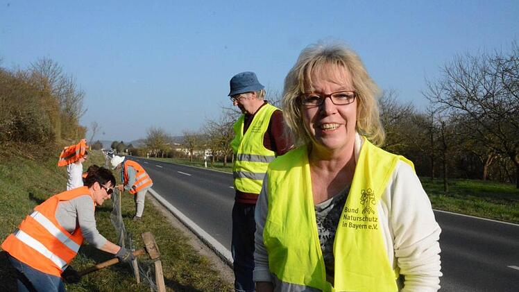 Marion Friedel aus Hammelburg mit ihrem Team bei Westheim, wo die Amphibienzäune an der Kreisstraße stehen. Foto: Elisabeth Assmann