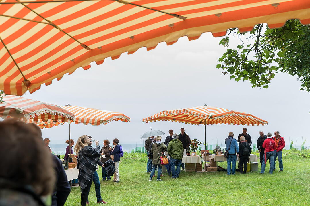 &Ouml;kowein-Pr&auml;sentation