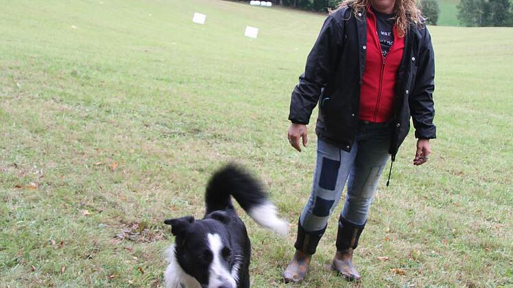 Franken-Trial der Border Collies  Foto: Sonny Adam