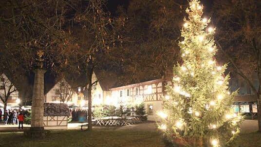 Das schöne Ambiente des Heiligenstadter Weihnachtsmarktes wird vom Weihnachtsbaum überstrahlt.  Fotos: fra-press