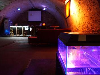 Eine Bar, Sitzecken mit Sofas und Dekoelemente wie ein Aquarium mit künstlichen Quallen prägen nun den Bocksbeutelkeller. Foto: Arkadius Guzy