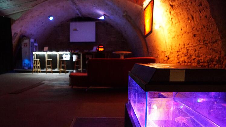 Eine Bar, Sitzecken mit Sofas und Dekoelemente wie ein Aquarium mit künstlichen Quallen prägen nun den Bocksbeutelkeller. Foto: Arkadius Guzy