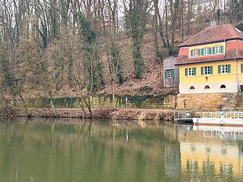 Öffnung des Oberen Leinritts: Sicherheit nach Baumfällungen wiederhergestellt