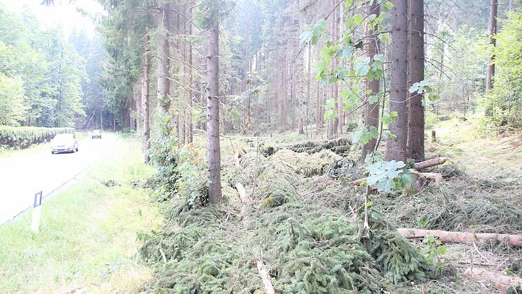 Links die alte Kreisstraße 3 bei der Felsmühle. Dort, wo die Bäume gefällt sind, wird sie künftig verlaufen.  Foto: Friedwald Schedel