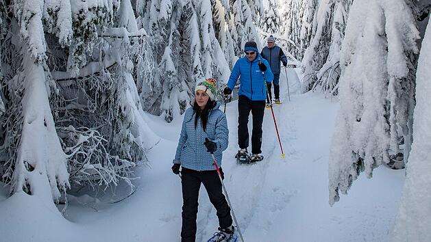 Schneewandern im Fichtelgebirge