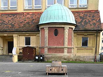 Wanderbaumallee verschönert Bamberger Schulen und Kitas