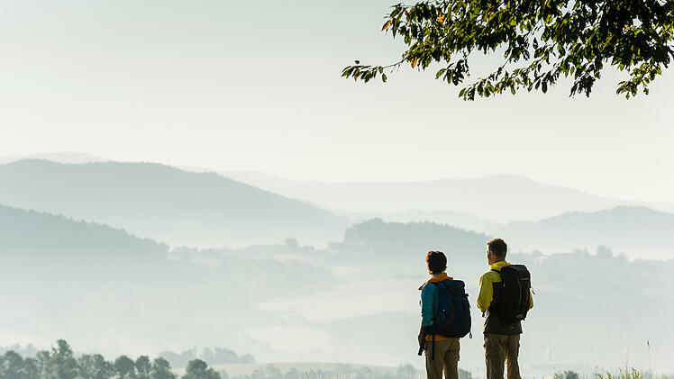 Auszeichnung f&uuml;r Goldsteig: Sch&ouml;nster Fernwanderweg 2026 f&uuml;hrt durch Ostbayern