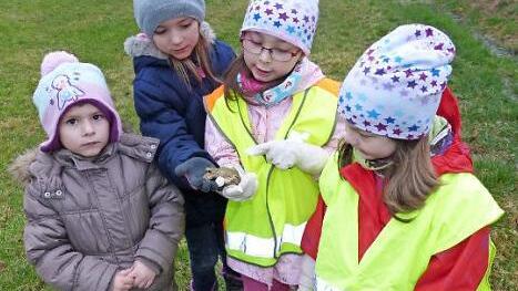 Angelina, Kimberly, Lena und Ronja (von links) von der Ludwigschorgaster Kinderfeuerwehr retten eine Kröte. Foto: kpw