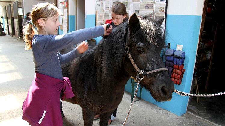 Theresa und Marie verwöhnen das Pony.