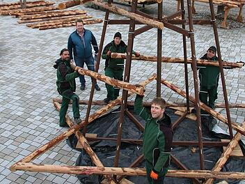 Vom Hubsteiger der Stadt aus wurde der obere Teil des Baumes bestückt, unten bauen Stefan Henz (links) und sein Team von der Gärtnergruppe per Hand weiter. Die Idee kam von Werkstattleiter Thomas Porkristl (hinten). Foto: Ralf Ruppert