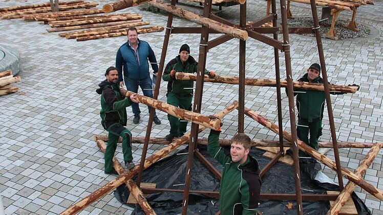 Vom Hubsteiger der Stadt aus wurde der obere Teil des Baumes bestückt, unten bauen Stefan Henz (links) und sein Team von der Gärtnergruppe per Hand weiter. Die Idee kam von Werkstattleiter Thomas Porkristl (hinten). Foto: Ralf Ruppert