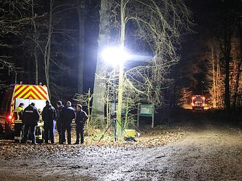 In einem Waldstück in Bamberg suchten Rettungskräfte am Sonntagabend nach einer Person, fanden aber niemanden. Foto:  Merzbach/News5