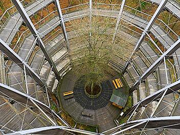 Baumwipfelpfad Steigerwald feiert zehnj&auml;hriges Bestehen