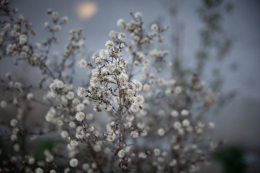 Die schönsten Frühlingsfotos aus Coburg und Umgebung