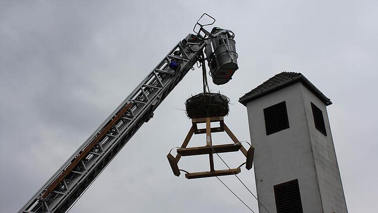 Foto: Carsten Höllein