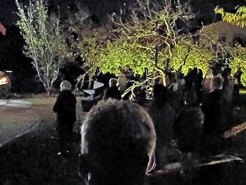 Die Abendgottesdienste an der H&ouml;chstadter Lourdesgrotte beginnen auf dem beleuchteten Gel&auml;nde jeden Sonntag um 17 Uhr. Foto: Benedikt D&ouml;ring